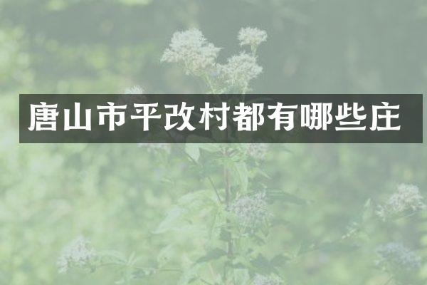 唐山市平改村都有哪些庄