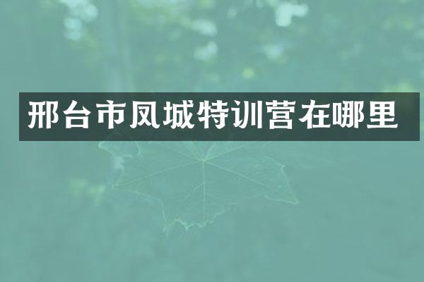 邢台市凤城特训营在哪里