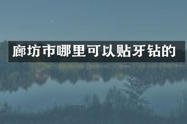 廊坊市哪里可以贴牙钻的