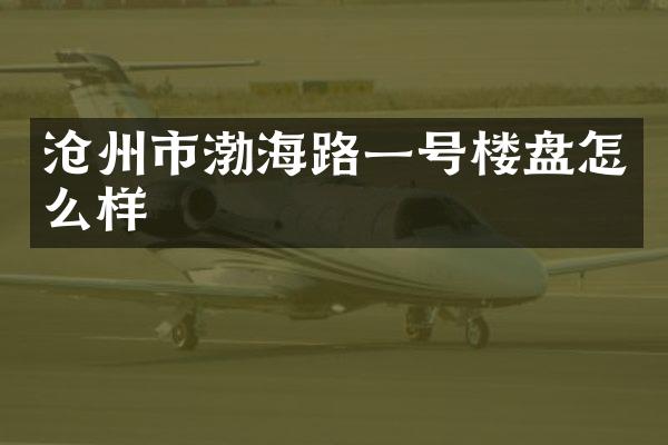 沧州市渤海路一号楼盘怎么样