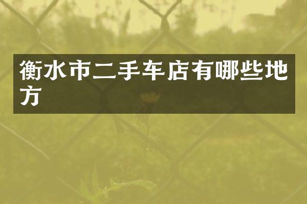 衡水市二手车店有哪些地方