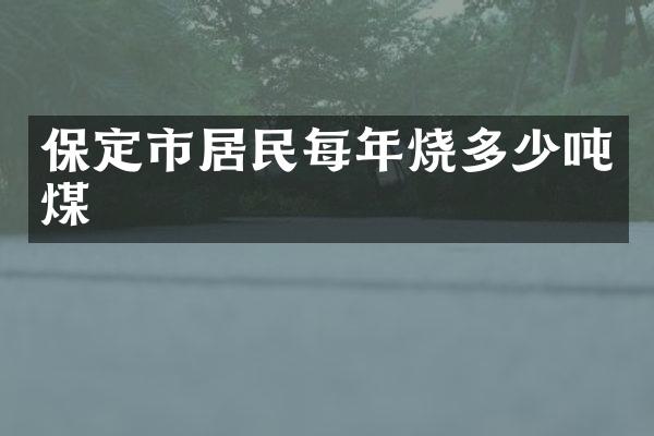 保定市居民每年烧多少吨煤