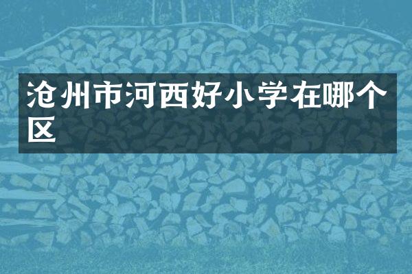 沧州市河西好小学在哪个区