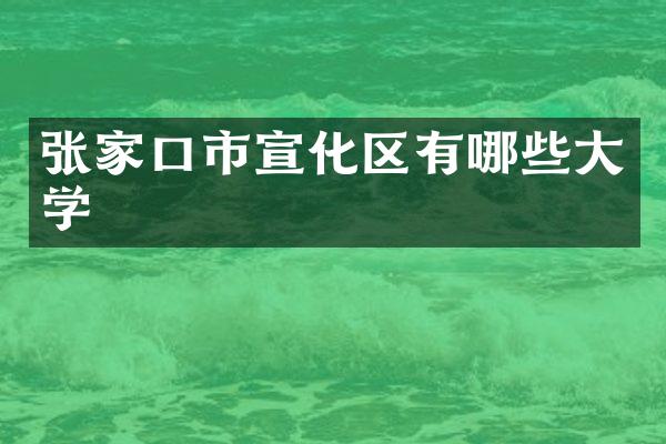 张家口市宣化区有哪些大学