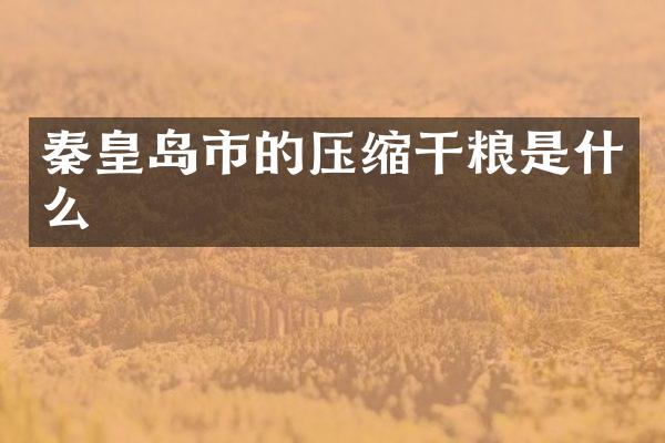 秦皇岛市的压缩干粮是什么
