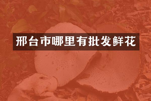 邢台市哪里有批发鲜花