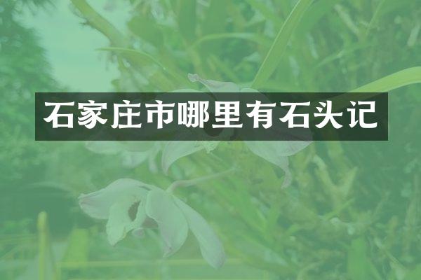 石家庄市哪里有石头记