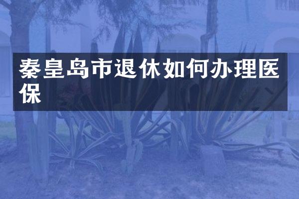 秦皇岛市退休如何办理医保