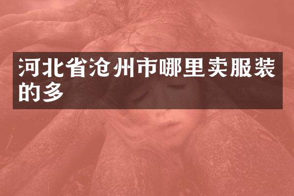 河北省沧州市哪里卖服装的多