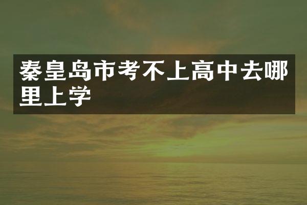 秦皇岛市考不上高中去哪里上学