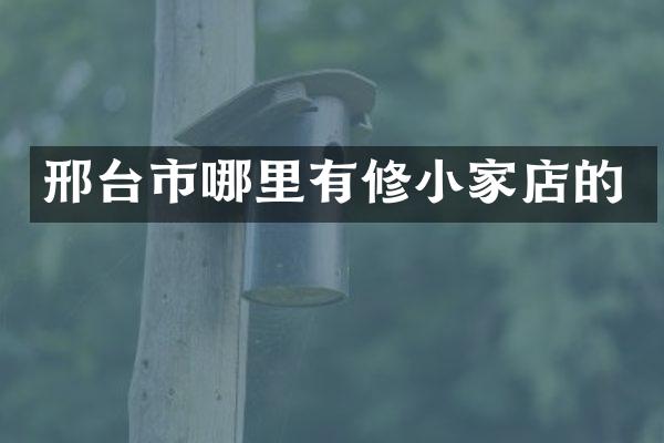 邢台市哪里有修小家店的
