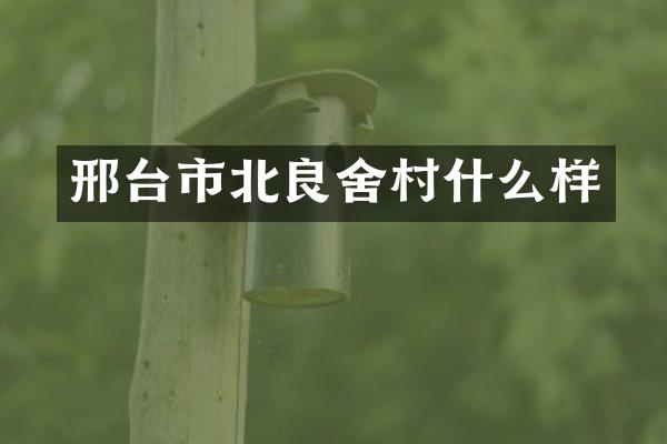 邢台市北良舍村什么样