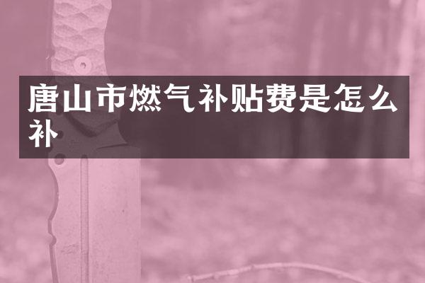 唐山市燃气补贴费是怎么补