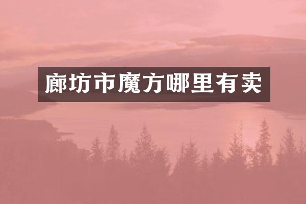 廊坊市魔方哪里有卖