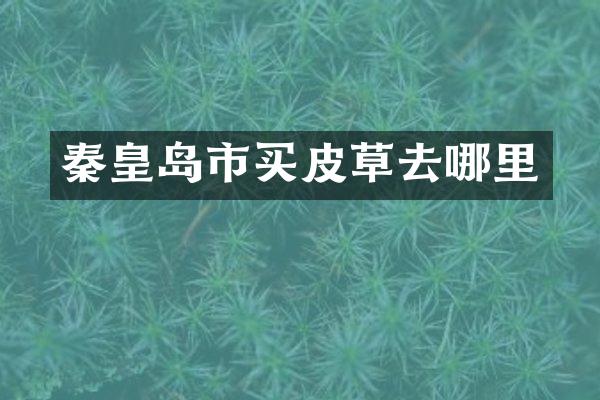 秦皇岛市买皮草去哪里