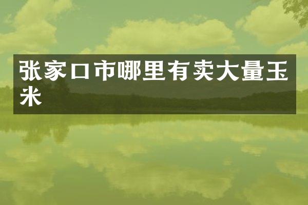 张家口市哪里有卖大量玉米