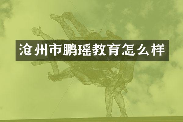 沧州市鹏瑶教育怎么样