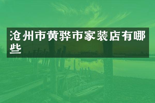 沧州市黄骅市家装店有哪些