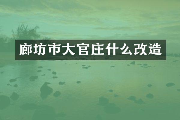 廊坊市大官庄什么改造