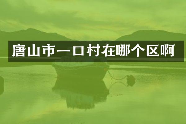 唐山市一口村在哪个区啊