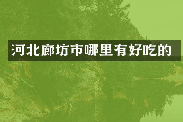 河北廊坊市哪里有好吃的