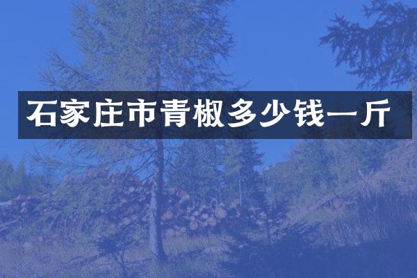 石家庄市青椒多少钱一斤