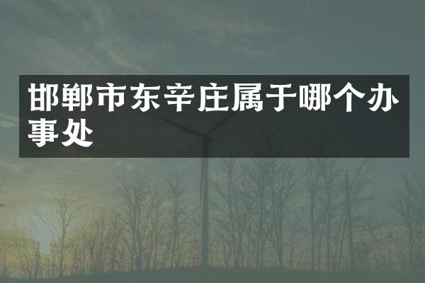 邯郸市东辛庄属于哪个办事处