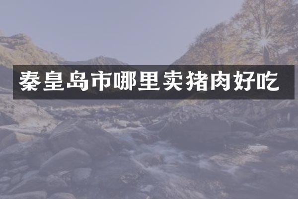 秦皇岛市哪里卖猪肉好吃
