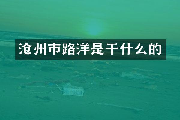 沧州市路洋是干什么的