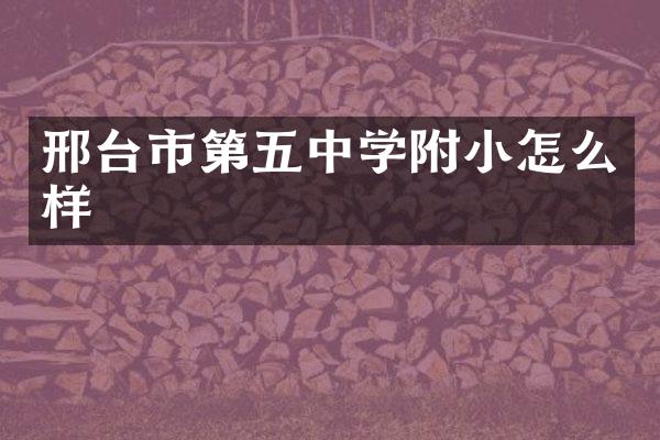 邢台市第五中学附小怎么样