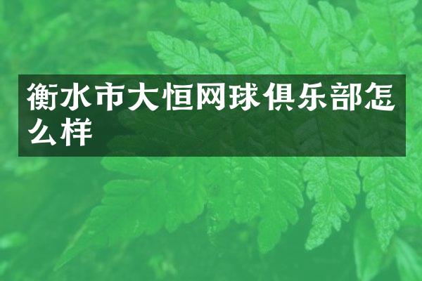 衡水市大恒网球俱乐部怎么样