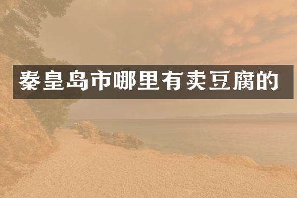 秦皇岛市哪里有卖豆腐的