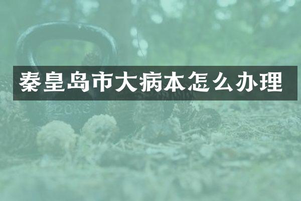 秦皇岛市大病本怎么办理