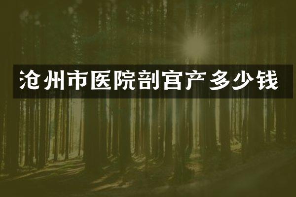 沧州市医院剖宫产多少钱