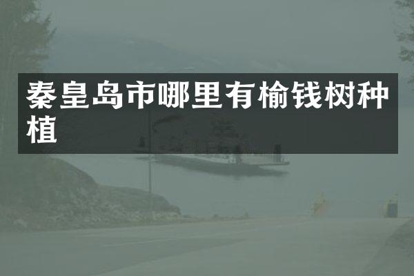 秦皇岛市哪里有榆钱树种植