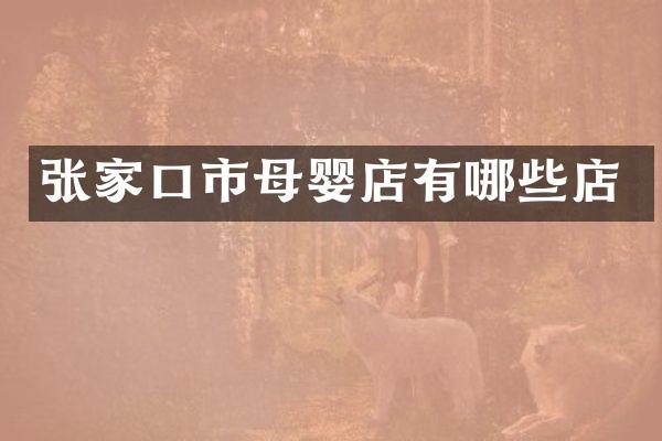 张家口市母婴店有哪些店