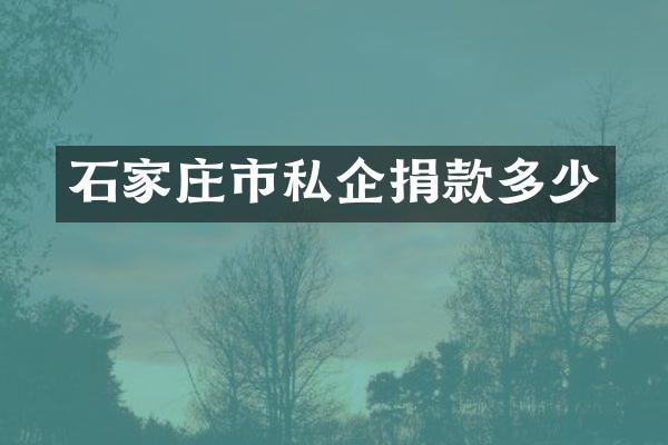 石家庄市私企捐款多少