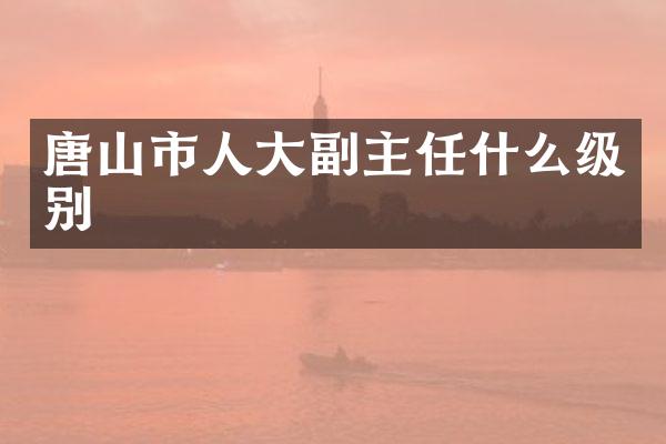 唐山市人大副主任什么级别