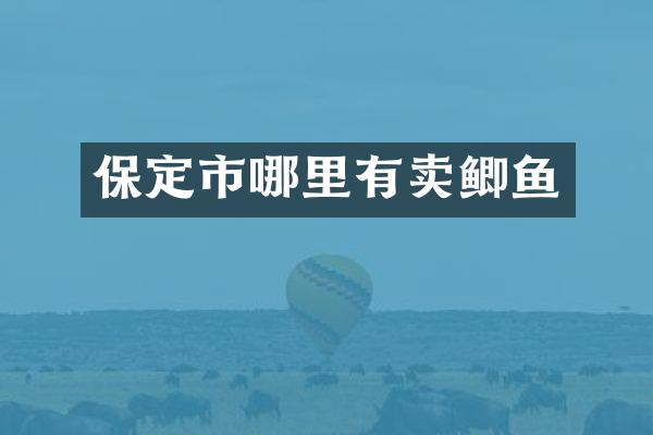 保定市哪里有卖鲫鱼