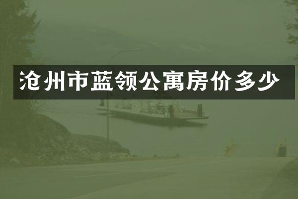 沧州市蓝领公寓房价多少