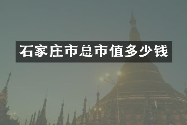 石家庄市总市值多少钱