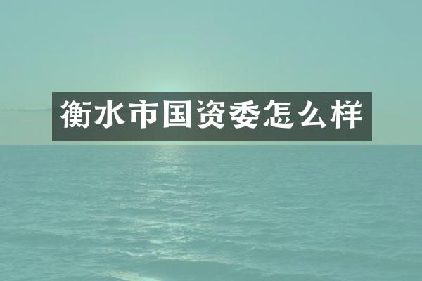 衡水市国资委怎么样