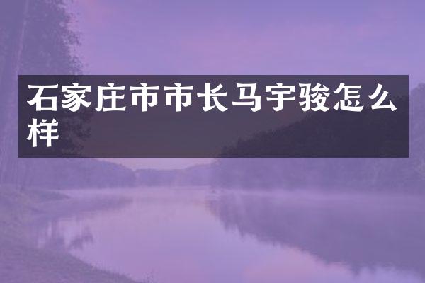 石家庄市市长马宇骏怎么样