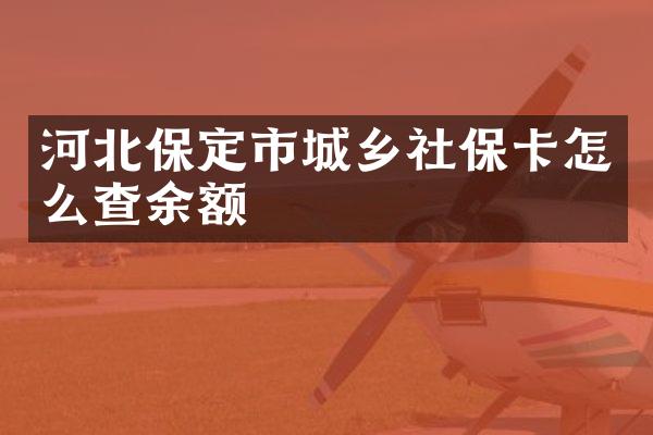 河北保定市城乡社保卡怎么查余额
