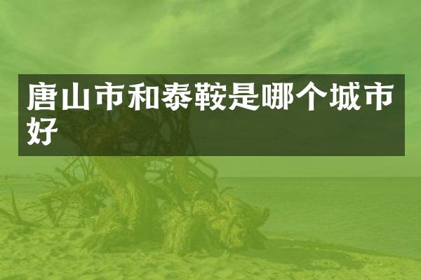 唐山市和泰鞍是哪个城市好