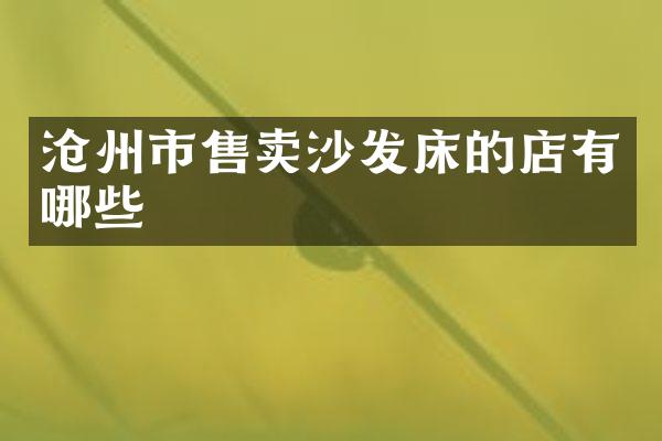 沧州市售卖沙发床的店有哪些