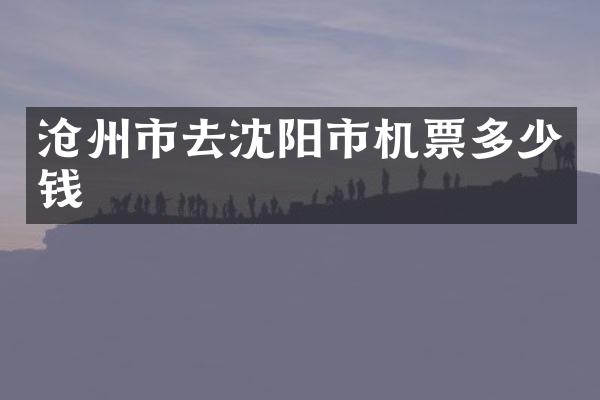 沧州市去沈阳市机票多少钱