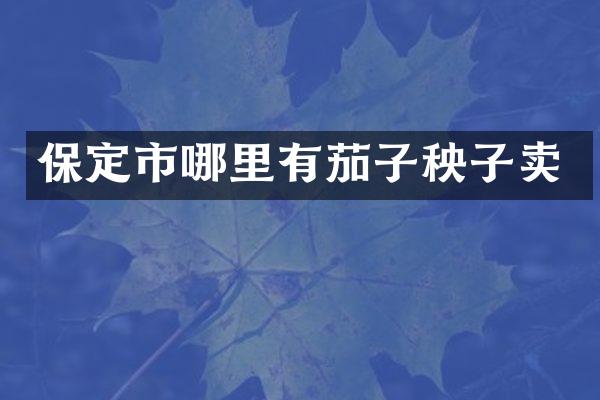 保定市哪里有茄子秧子卖