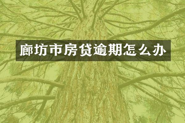 廊坊市房贷逾期怎么办