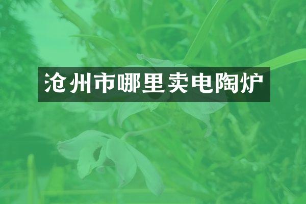 沧州市哪里卖电陶炉